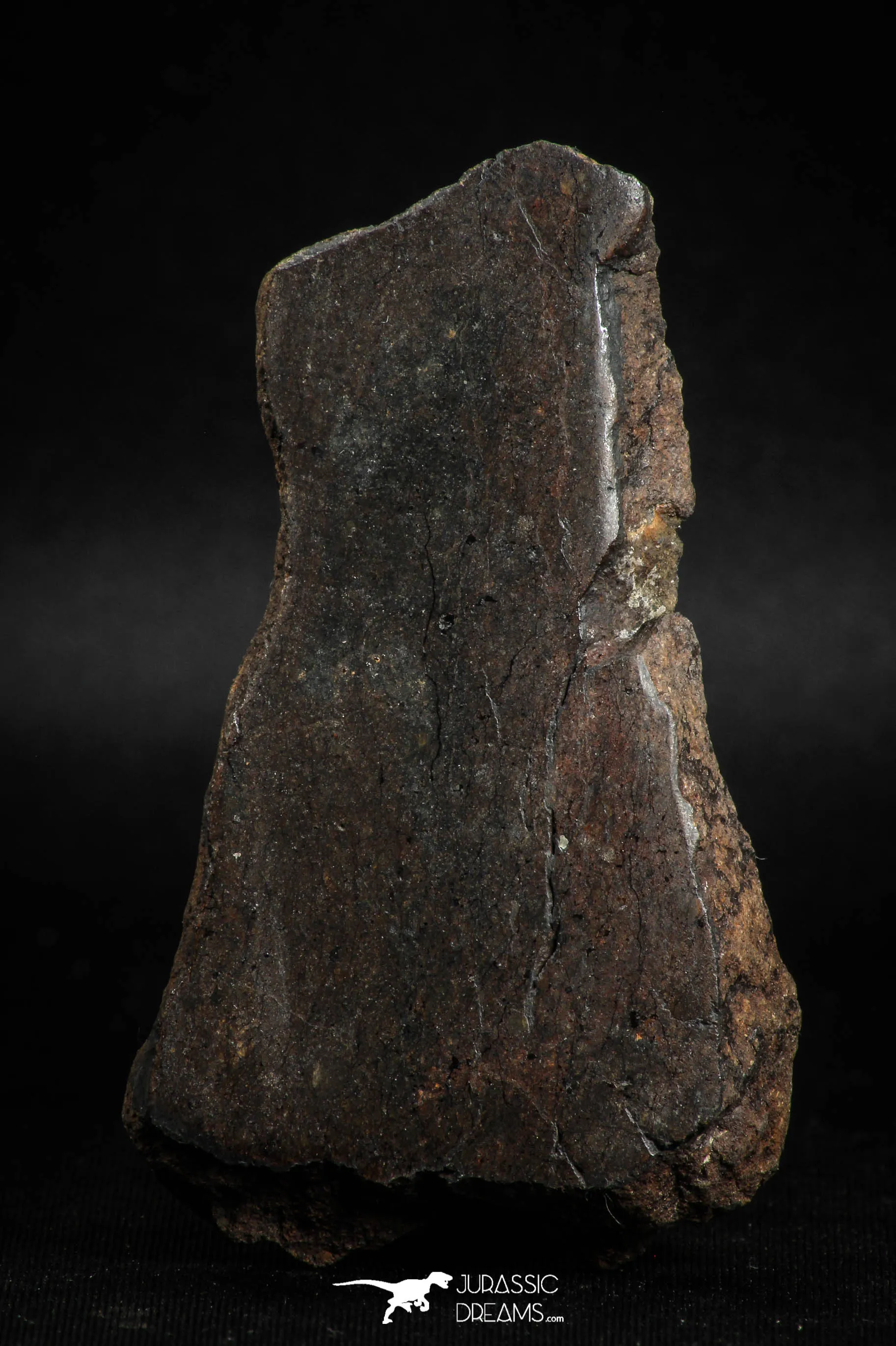 05104 - Beautiful Polished Section NWA Unclassified L-H Type Ordinary Chondrite Meteorite 36.0g