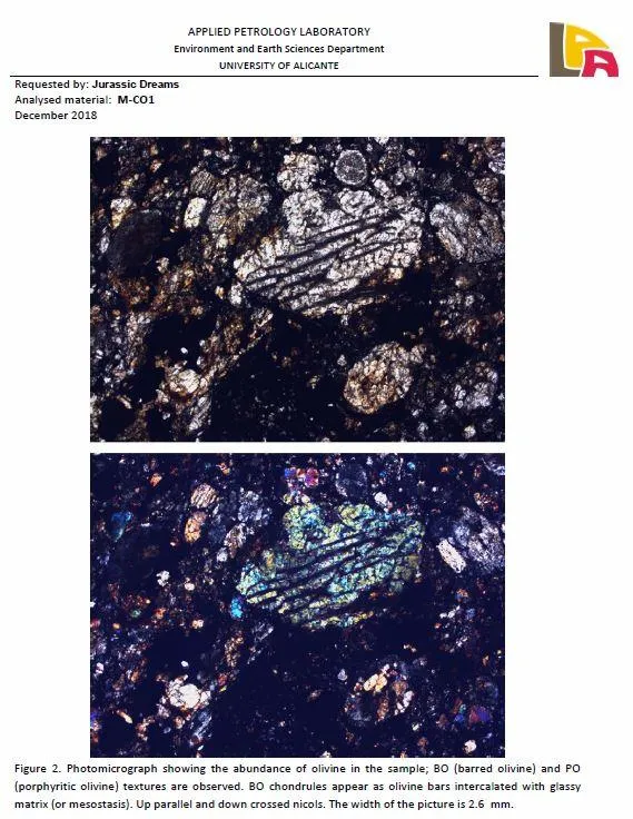 05104 - Beautiful Polished Section NWA Unclassified L-H Type Ordinary Chondrite Meteorite 36.0g