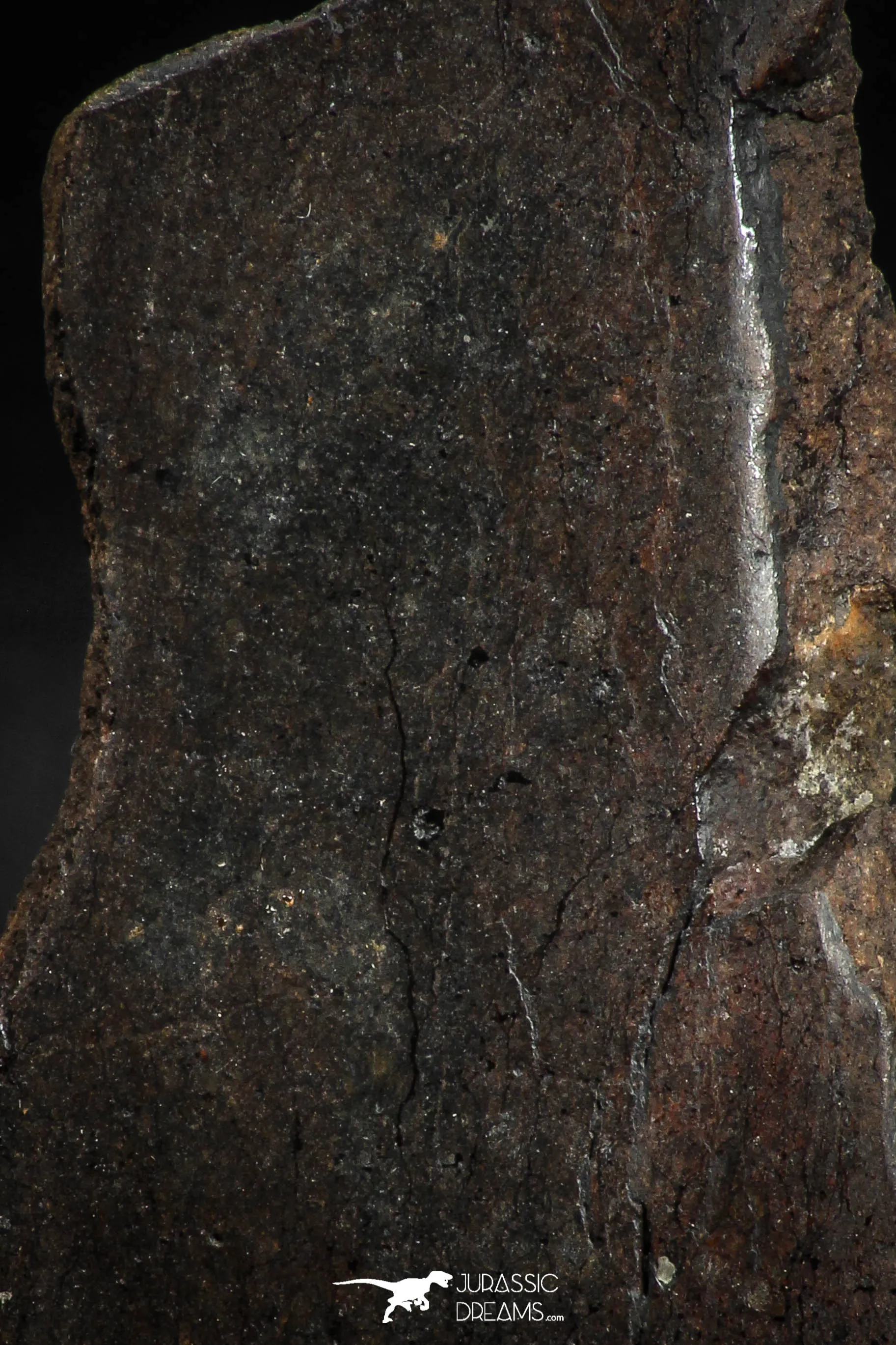 05104 - Beautiful Polished Section NWA Unclassified L-H Type Ordinary Chondrite Meteorite 36.0g