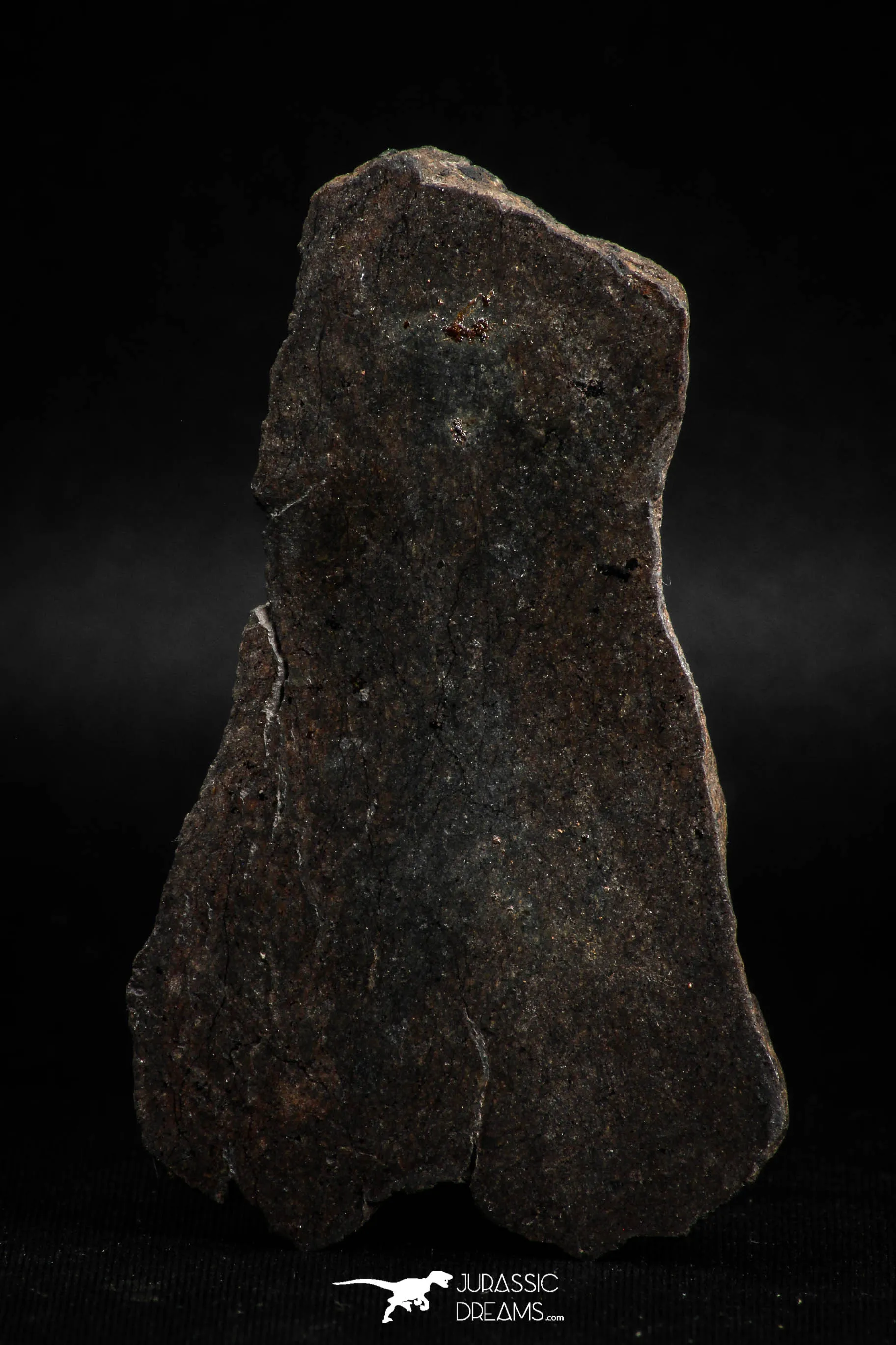 05104 - Beautiful Polished Section NWA Unclassified L-H Type Ordinary Chondrite Meteorite 36.0g