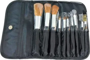 10 Piece Professional Cosmetic Brush Set & Wallet