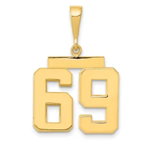 14k Yellow Gold Medium Polished Number 69 Charm