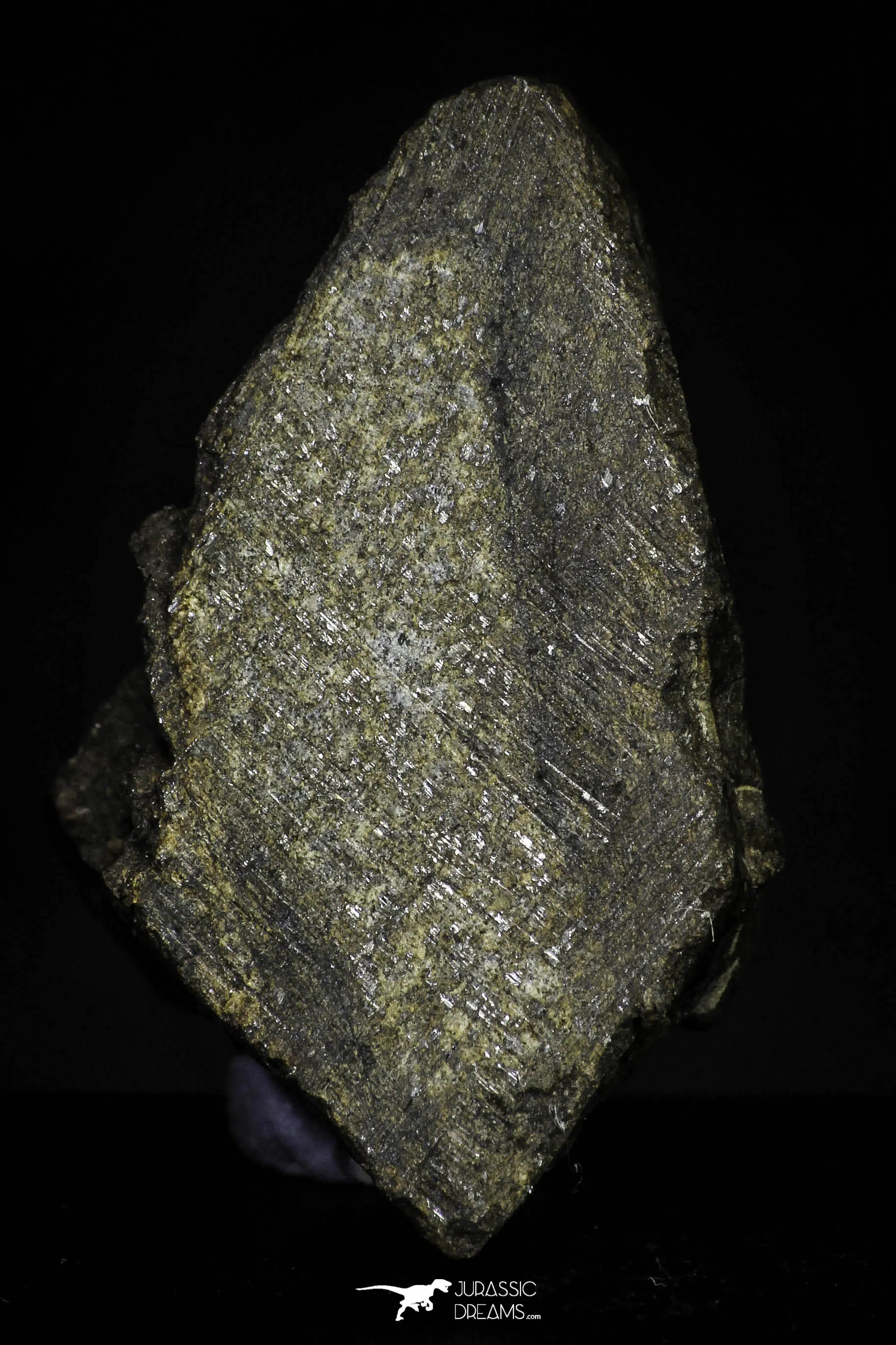 21466 - Unclassified Chondrite Meteorite 13.8g Polished Section