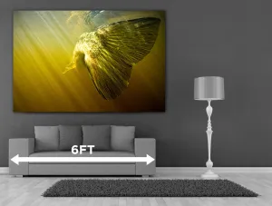 48x60 Custom Canvas