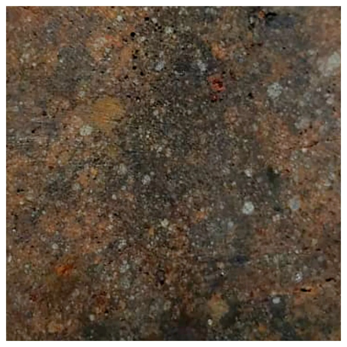 A76 - "NWA 13292" H3 Ordinary Chondrite Meteorite 52.33g Thick Crusted Slice