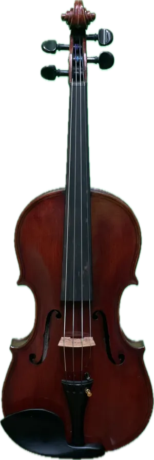 Alfred Ernst Schenk Violin 1882