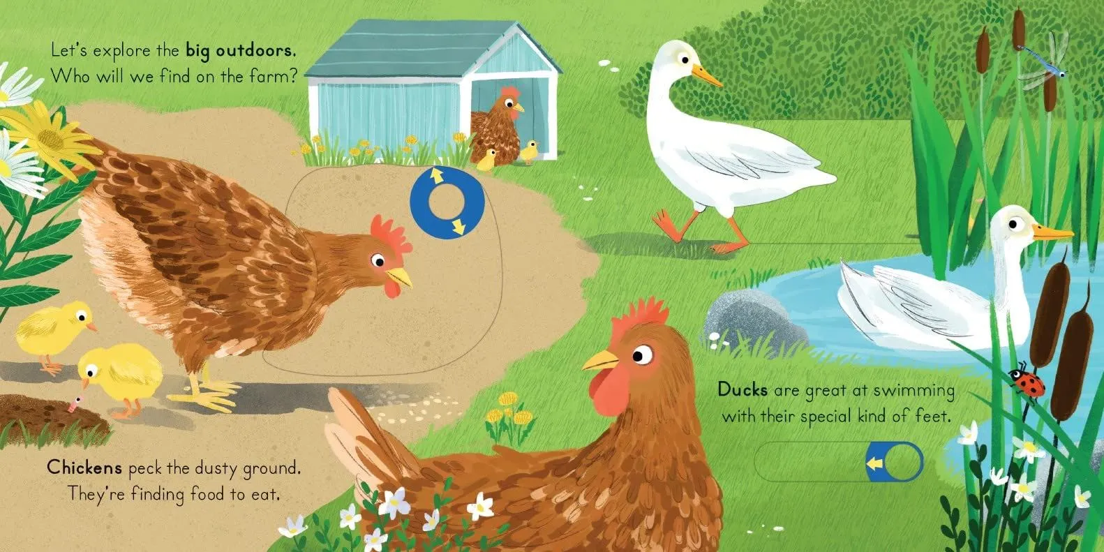 Big Outdoors For Little Explorers:Farm