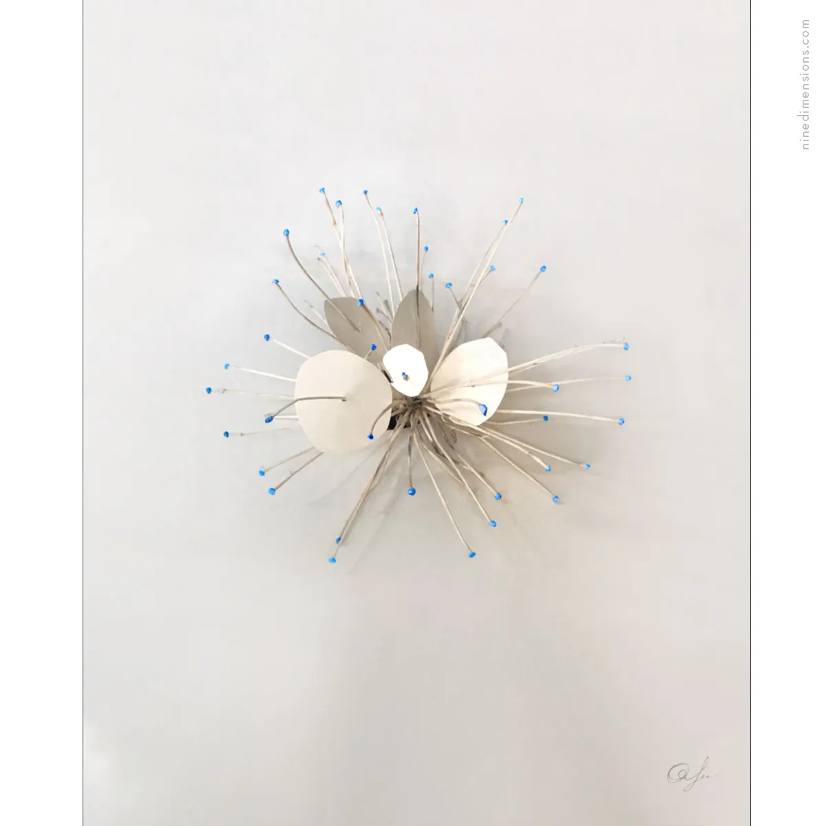 Blue Points