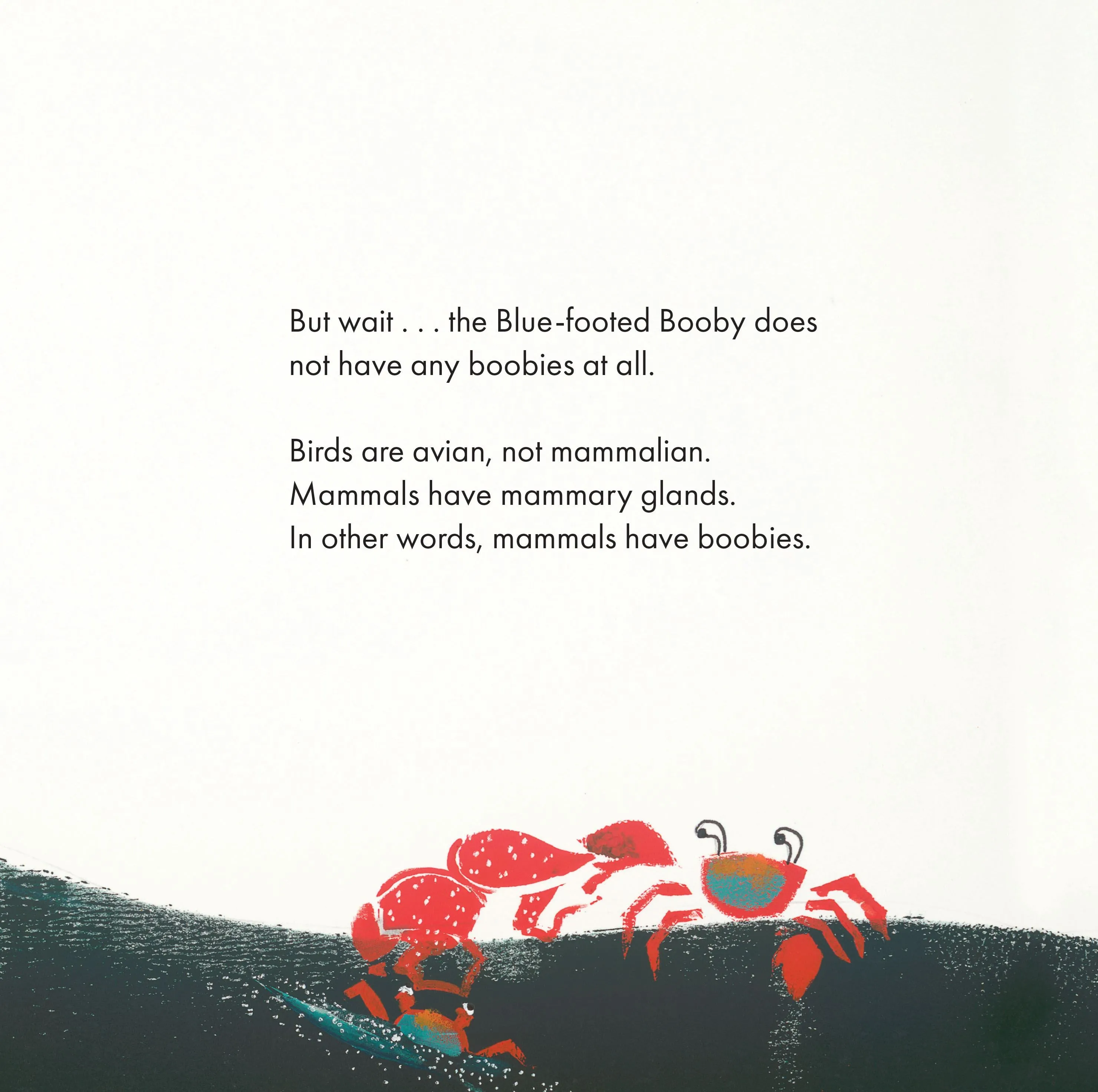 Boobies
