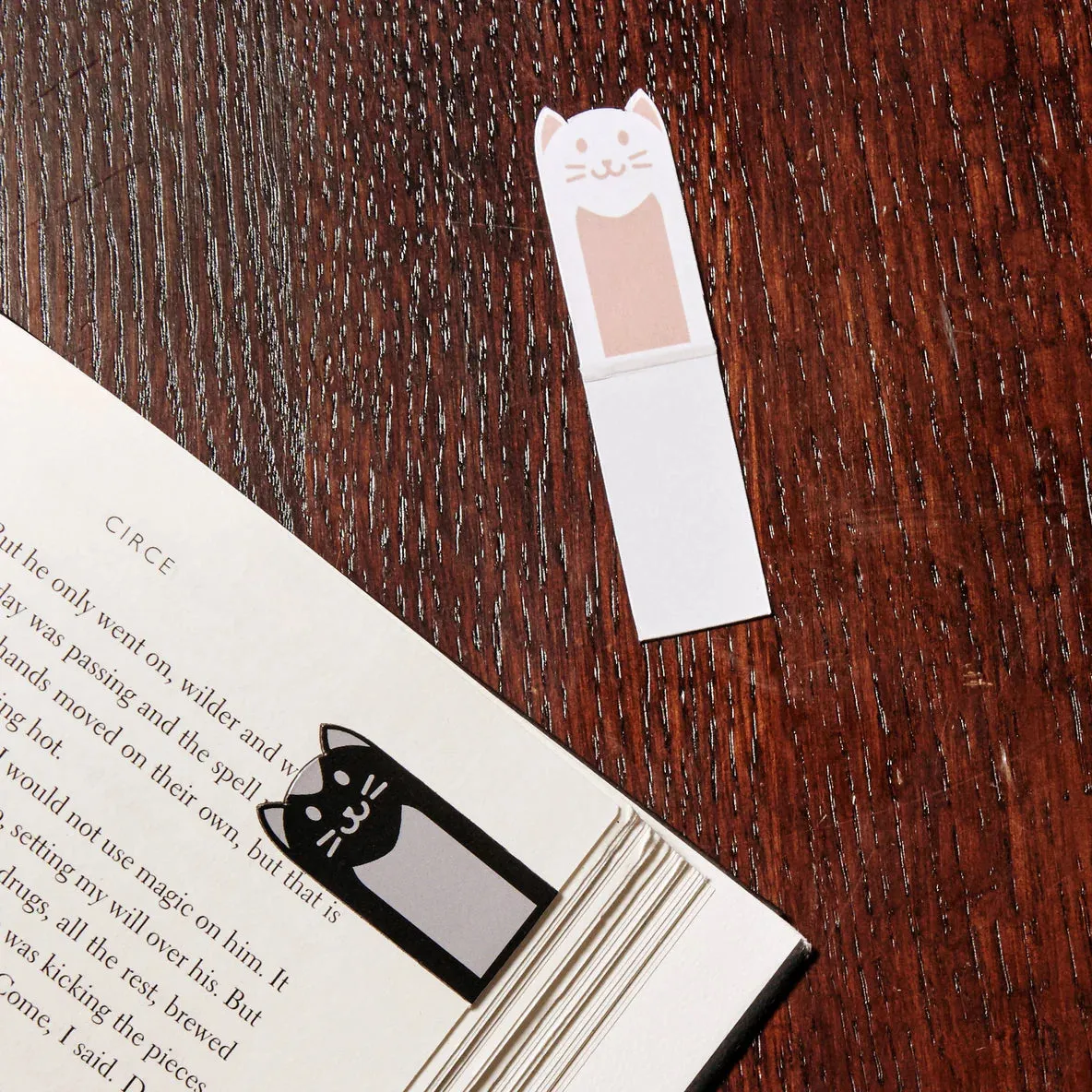 Cat Magnetic Bookmarks