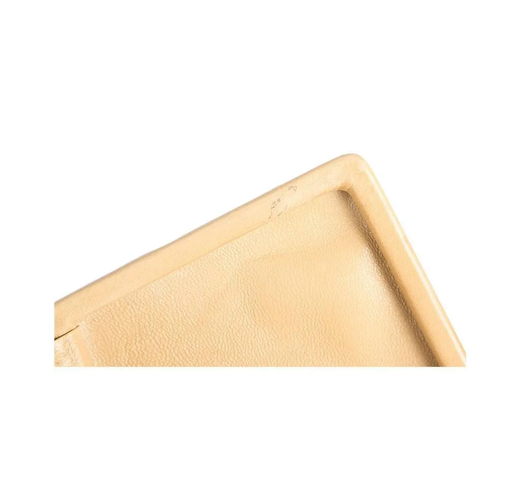 Chanel Beige Tortoise Shell Bag
