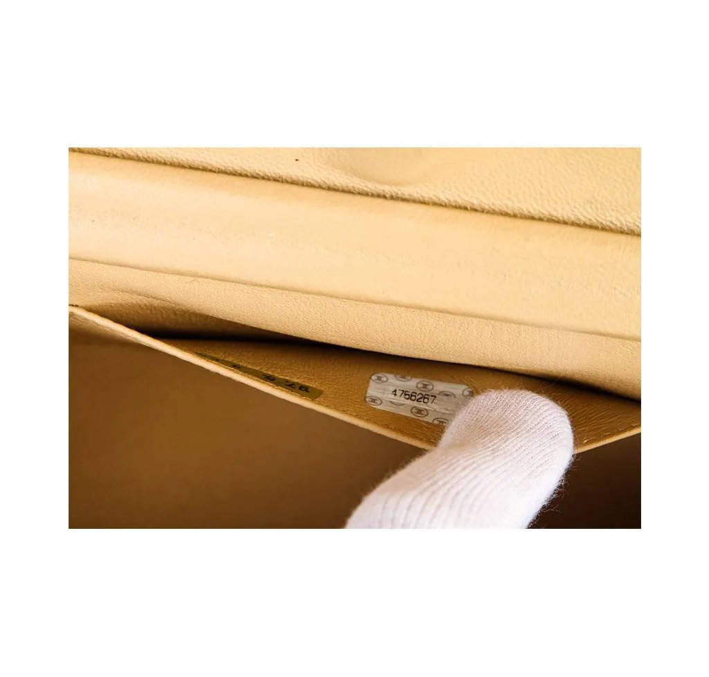 Chanel Beige Tortoise Shell Bag