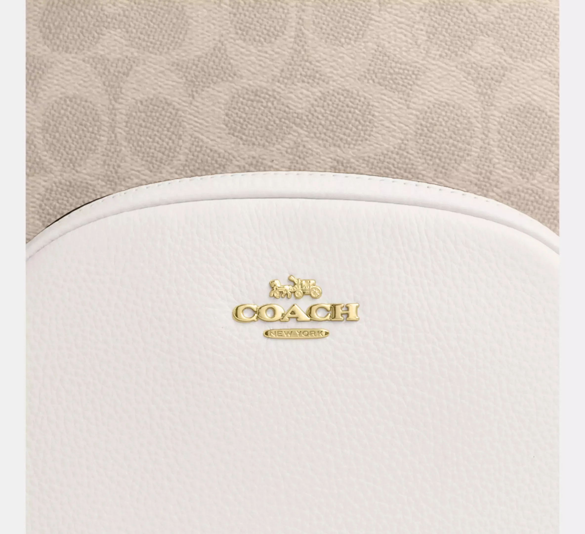 Court Backpack In Signature Canvas