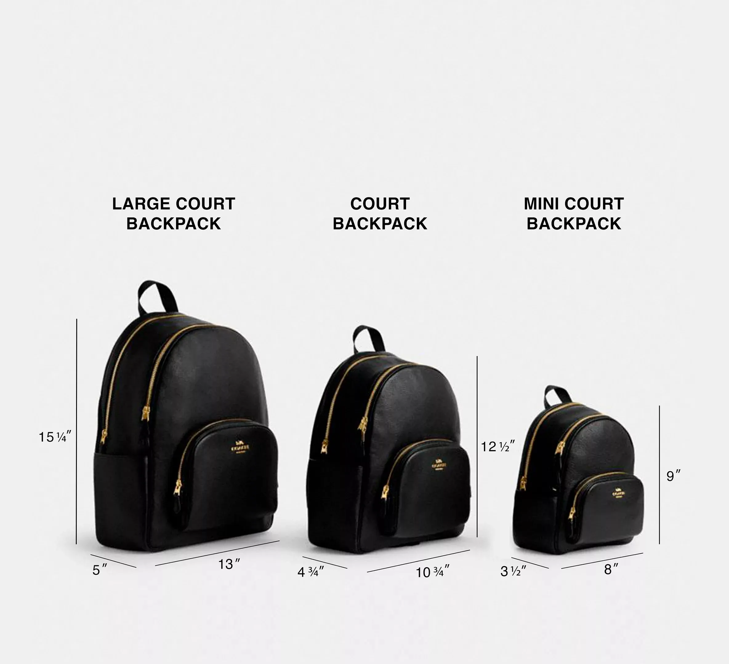 Court Backpack In Signature Canvas