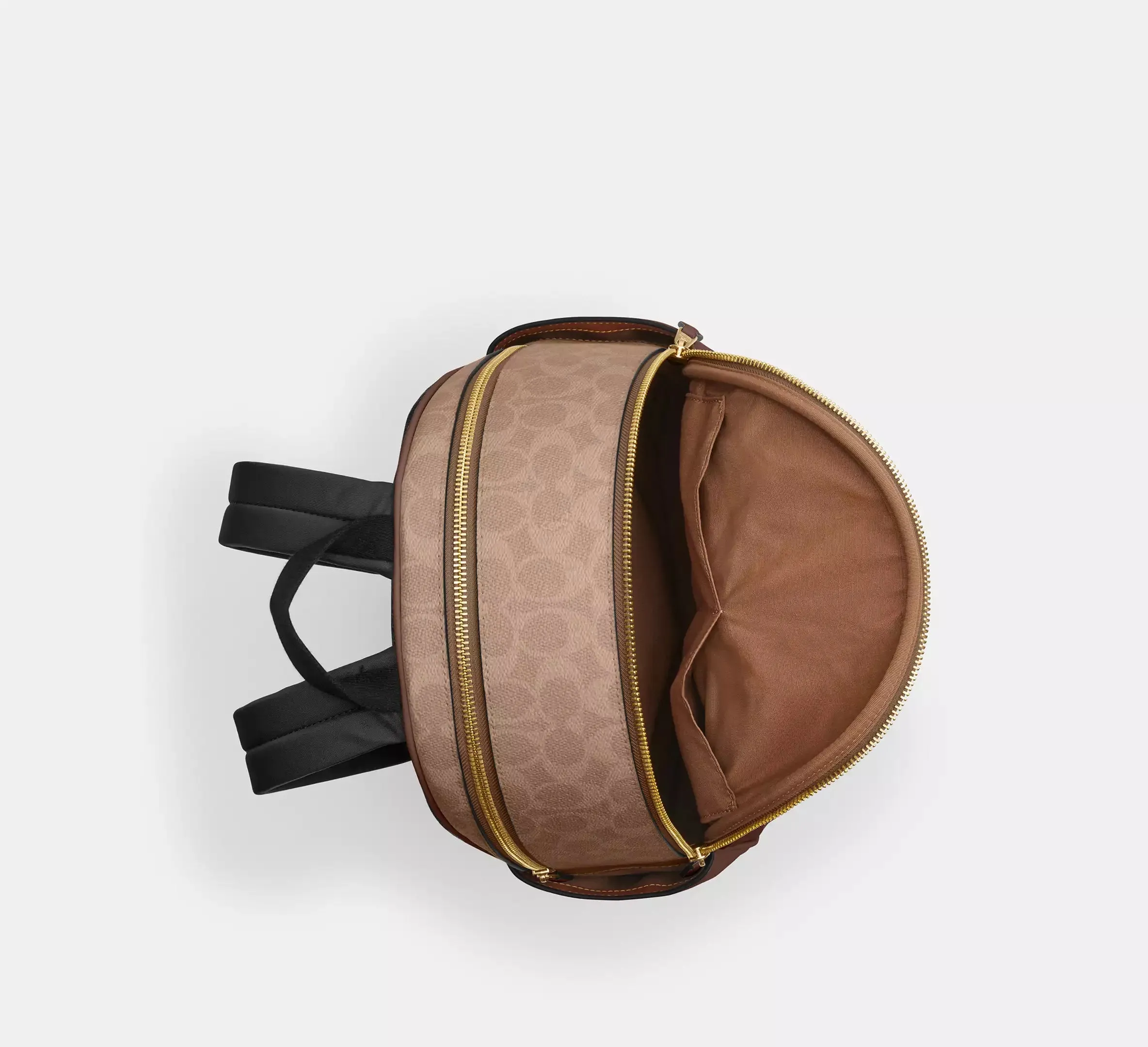 Court Backpack In Signature Canvas