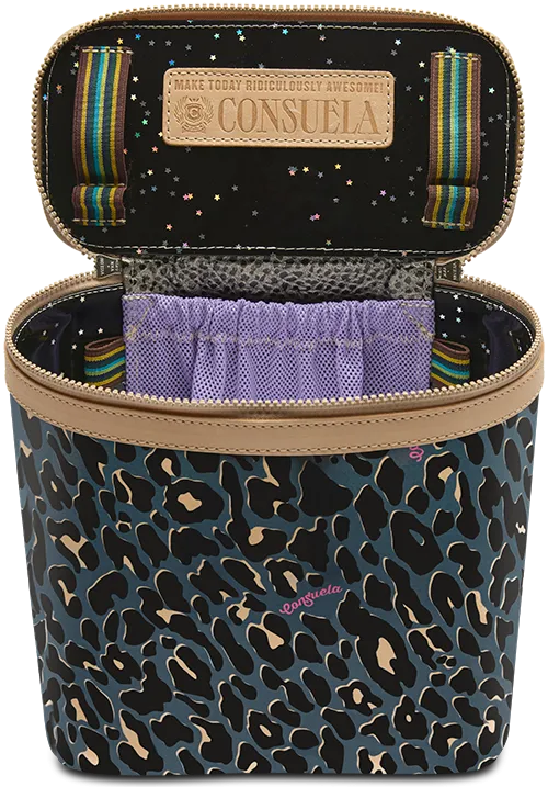 Danni Slim Train Case