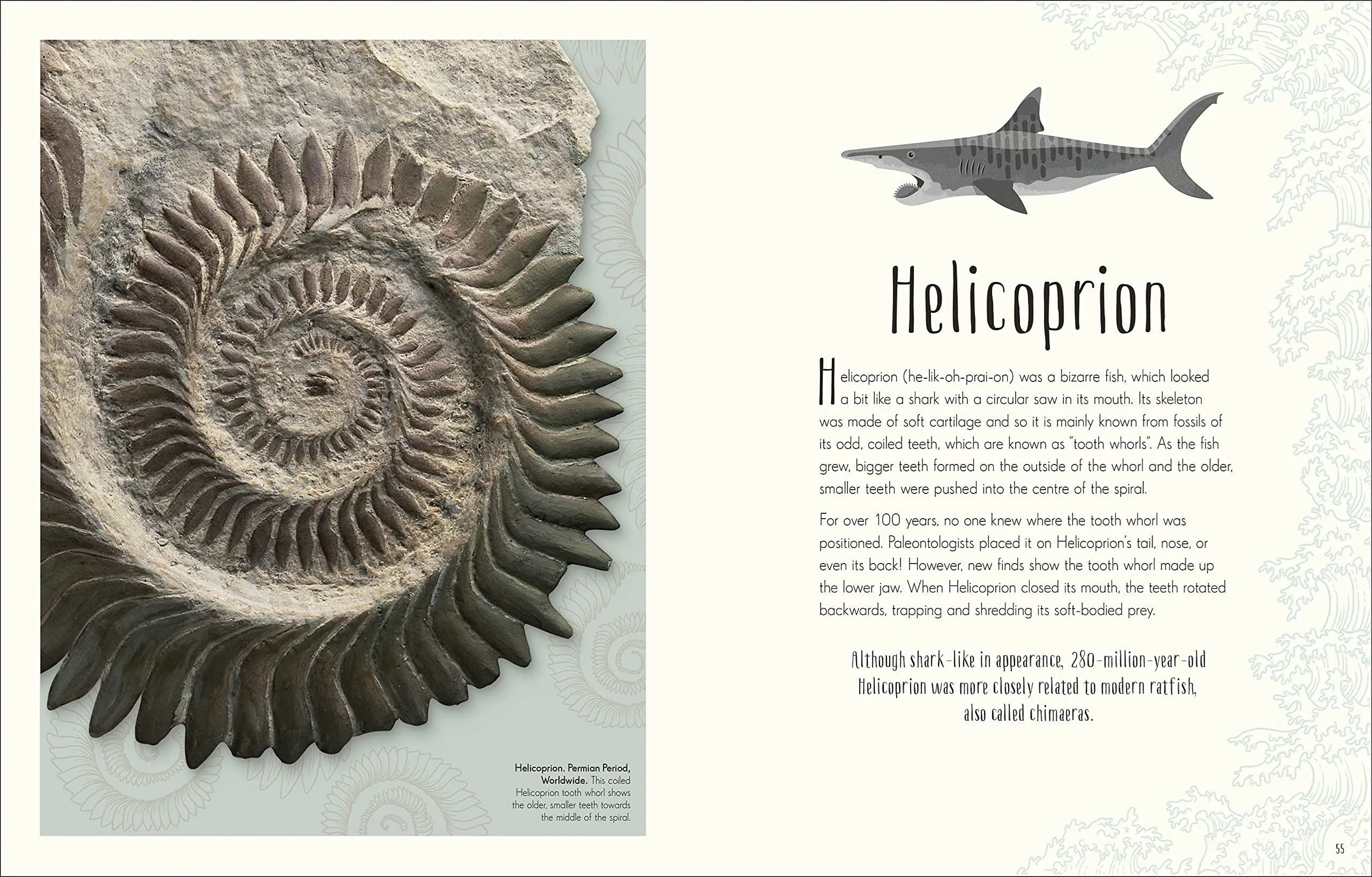 Dinosaurs And Other Prehistoric Life