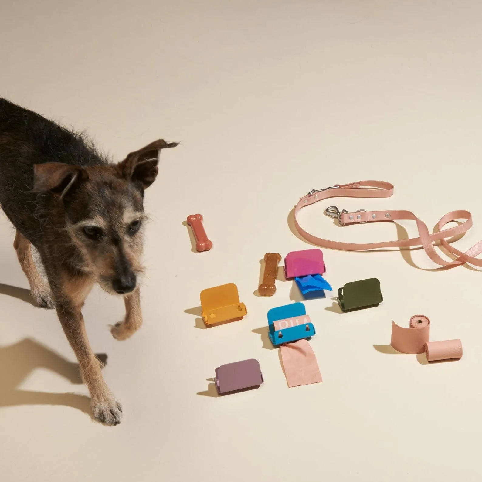 Dog Bag Holder