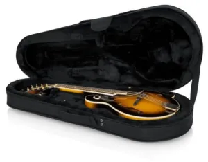 Gator Mandolin Case