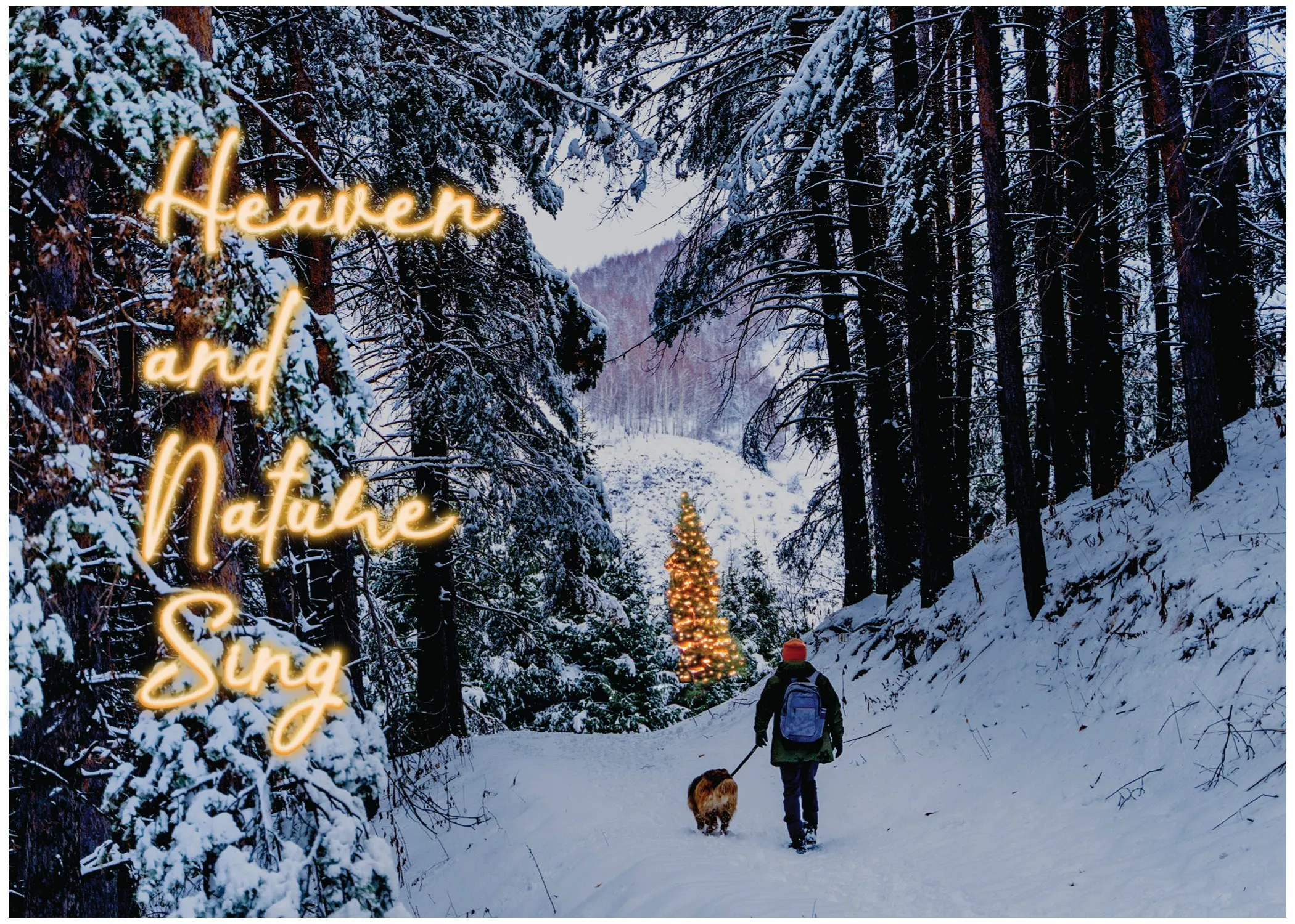 Glory To Dog Heaven and Nature Sing Boxed Set of 12 Christmas Cards and Greeting Card Envelopes