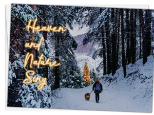 Glory To Dog Heaven and Nature Sing Boxed Set of 12 Christmas Cards and Greeting Card Envelopes