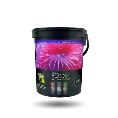 H2Ocean Classic  Formula  Pro Salt