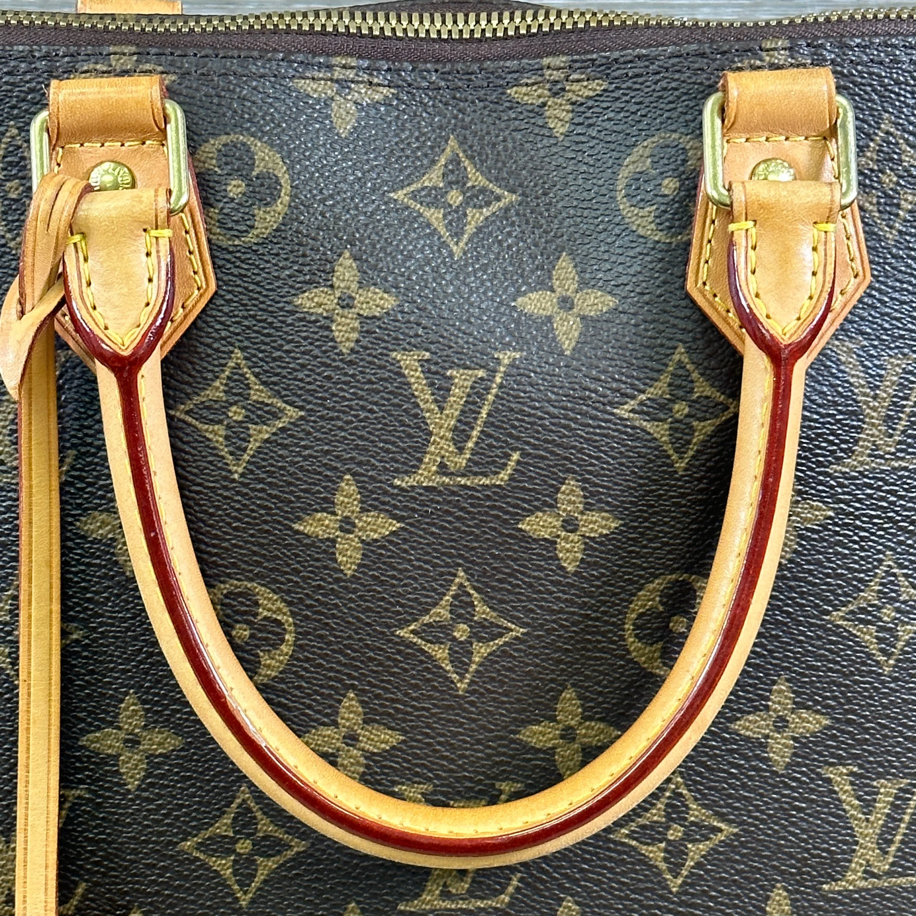 Louis Vuitton Alma GM - Monogram (Retired)