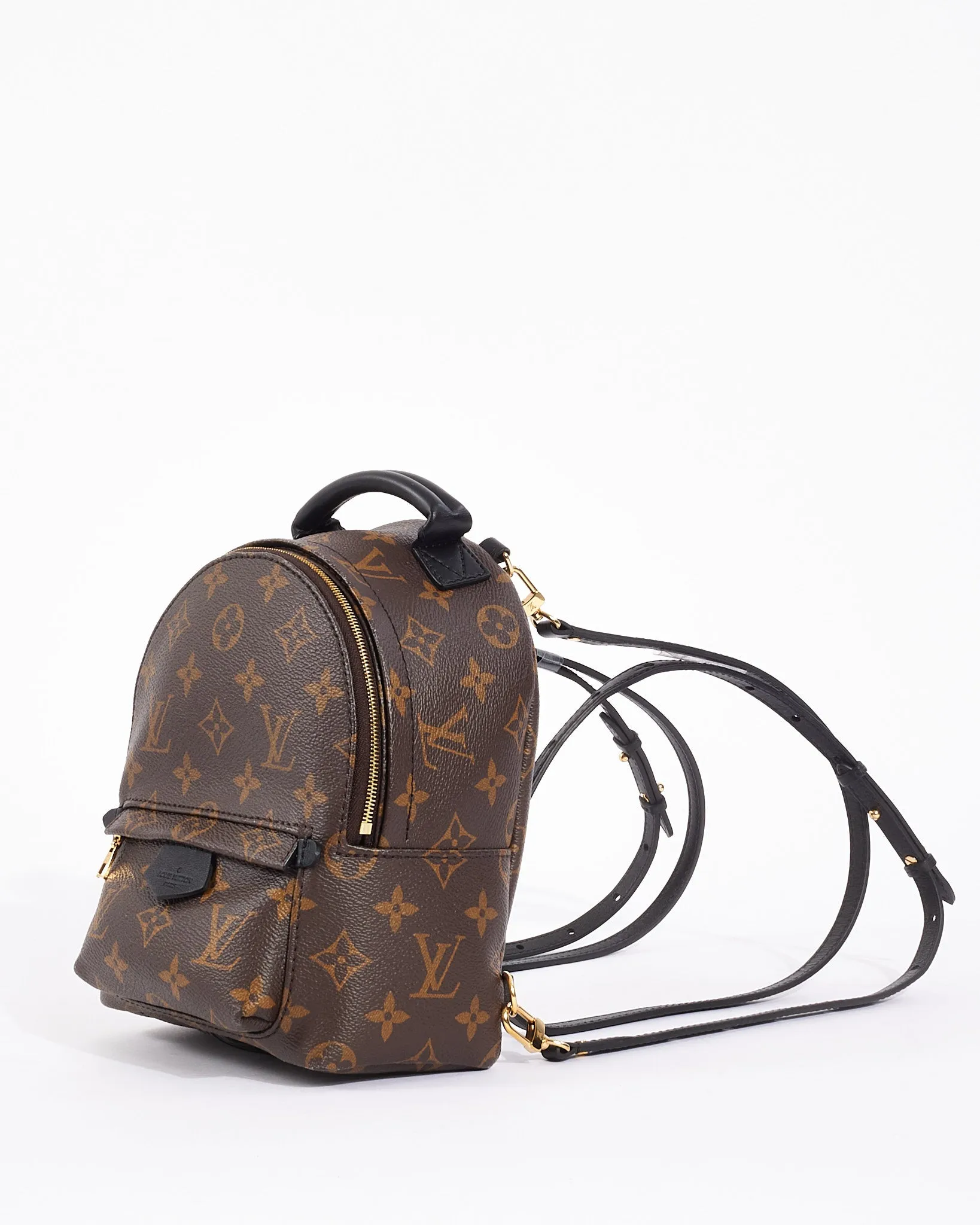 Louis Vuitton Monogram Canvas Palm Spring Mini Backpack