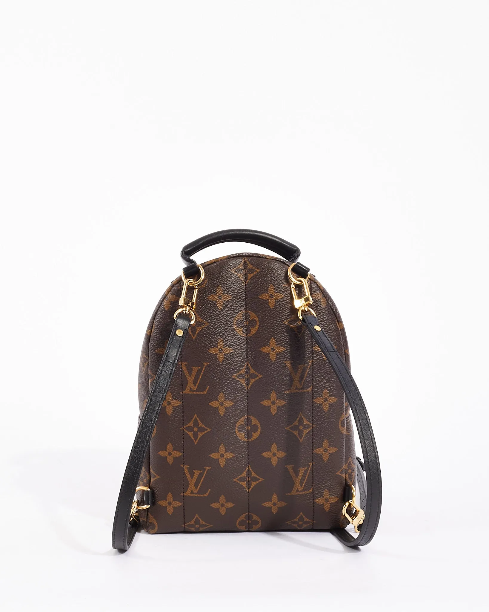 Louis Vuitton Monogram Canvas Palm Spring Mini Backpack