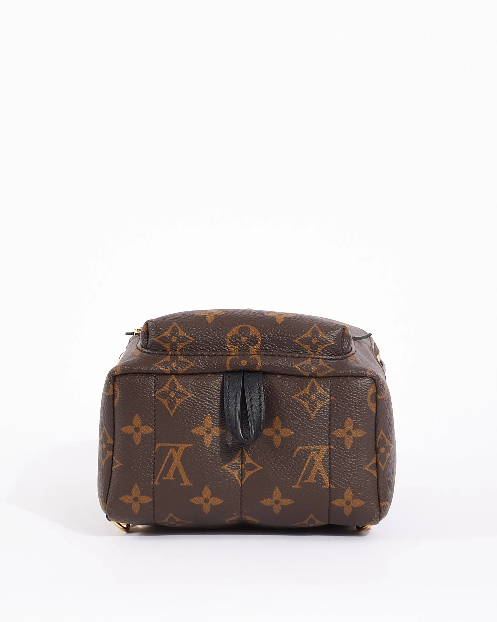 Louis Vuitton Monogram Canvas Palm Spring Mini Backpack