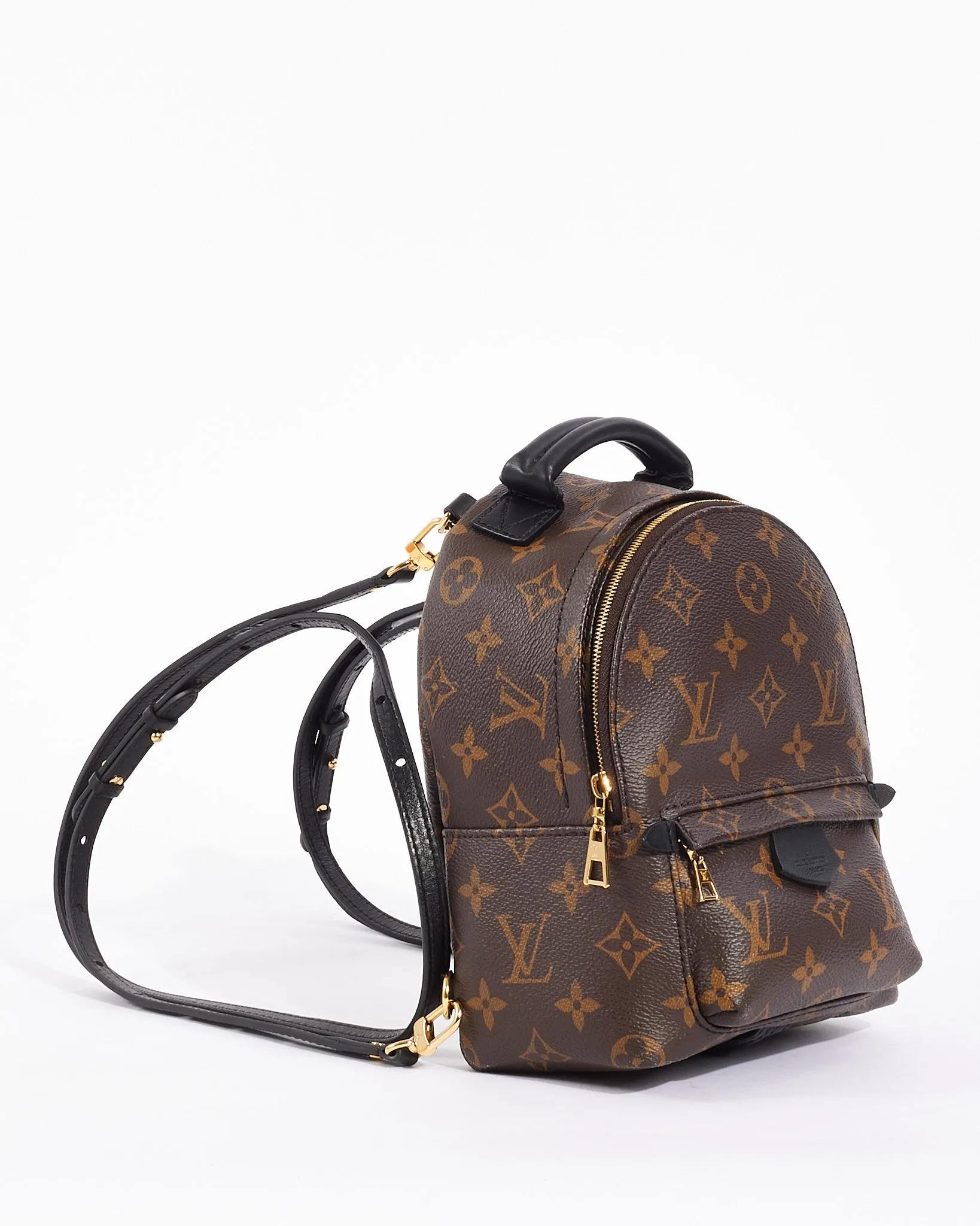 Louis Vuitton Monogram Canvas Palm Spring Mini Backpack