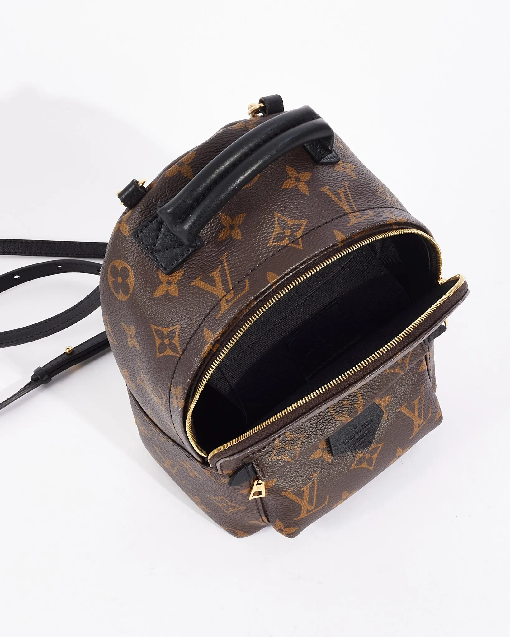 Louis Vuitton Monogram Canvas Palm Spring Mini Backpack