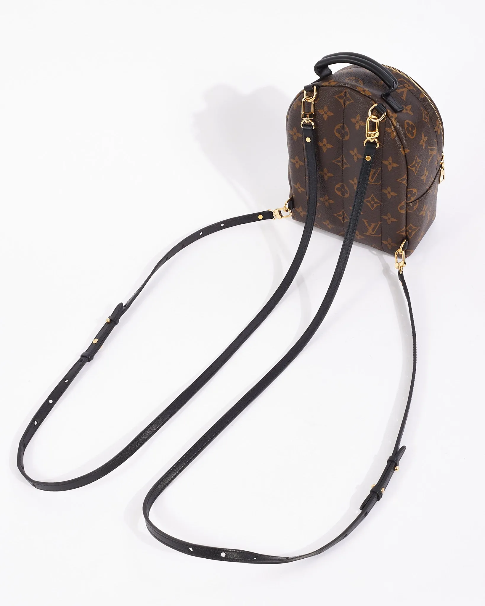 Louis Vuitton Monogram Canvas Palm Spring Mini Backpack