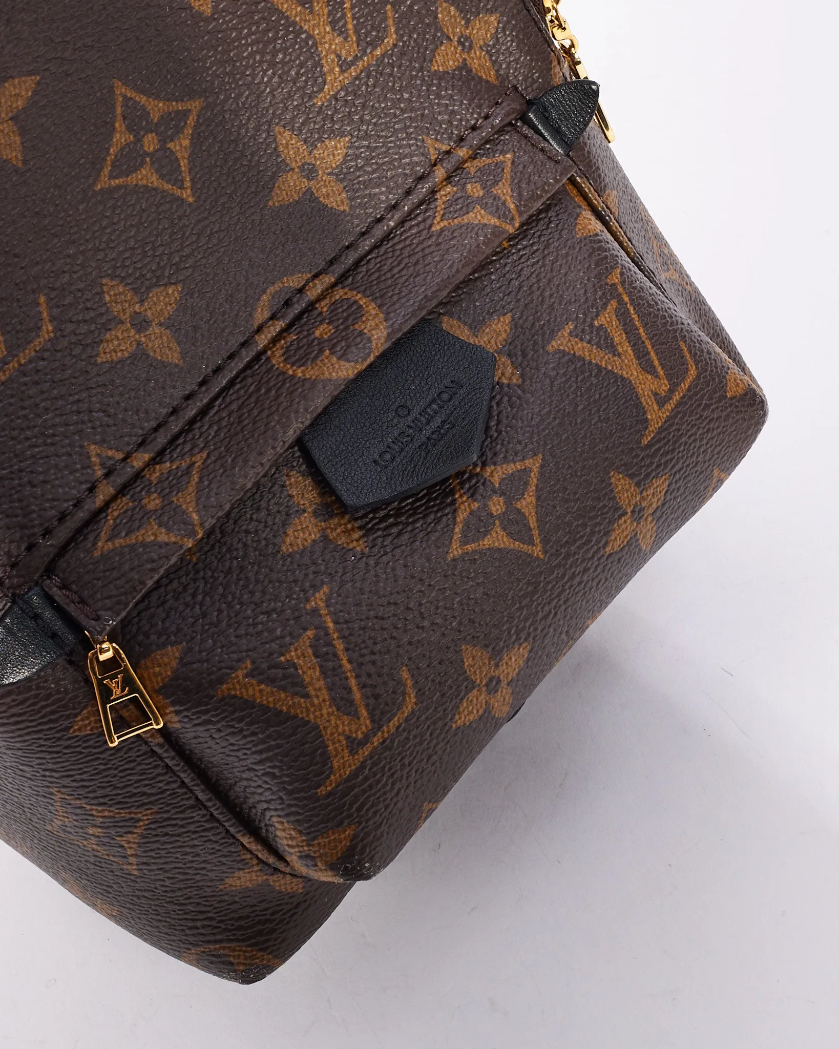Louis Vuitton Monogram Canvas Palm Spring Mini Backpack