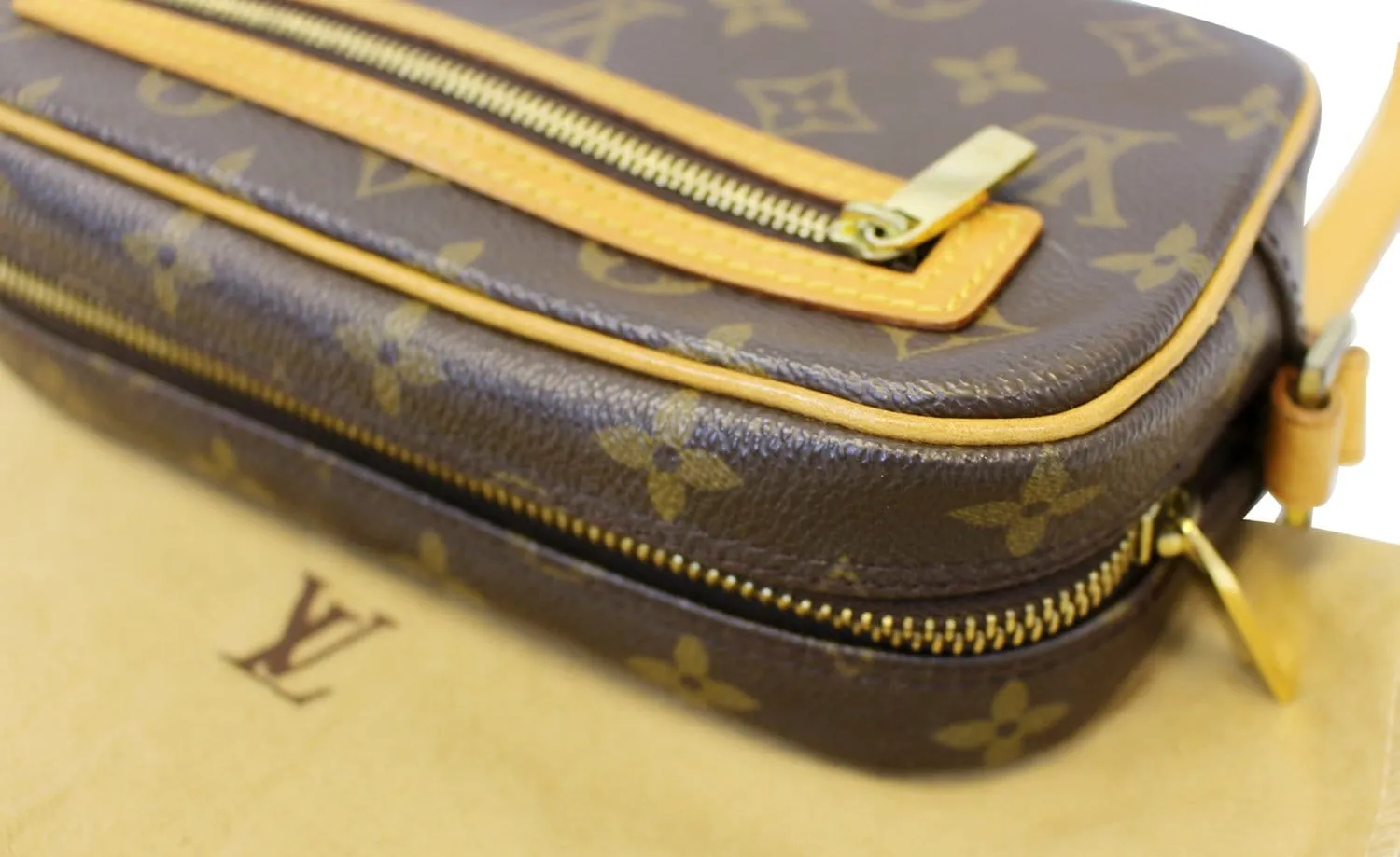 LOUIS VUITTON Monogram Canvas Pochette Cite Shoulder Bag