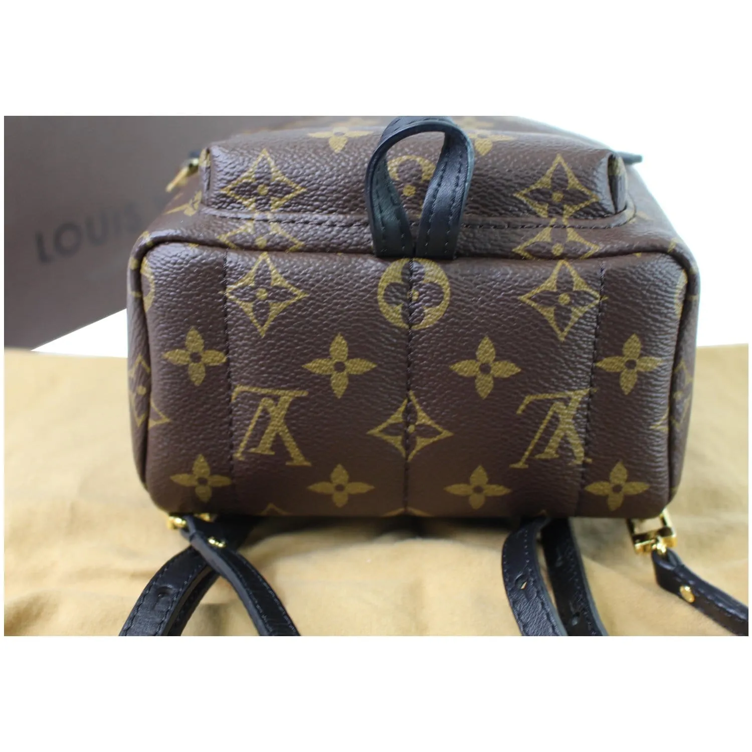 LOUIS VUITTON Palm Springs Mini Monogram Canvas Backpack Brown