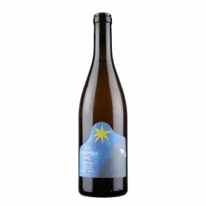Lucas Madonia Lormey Chasselas 2022