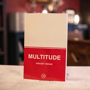 Multitude by Vincent Hedan