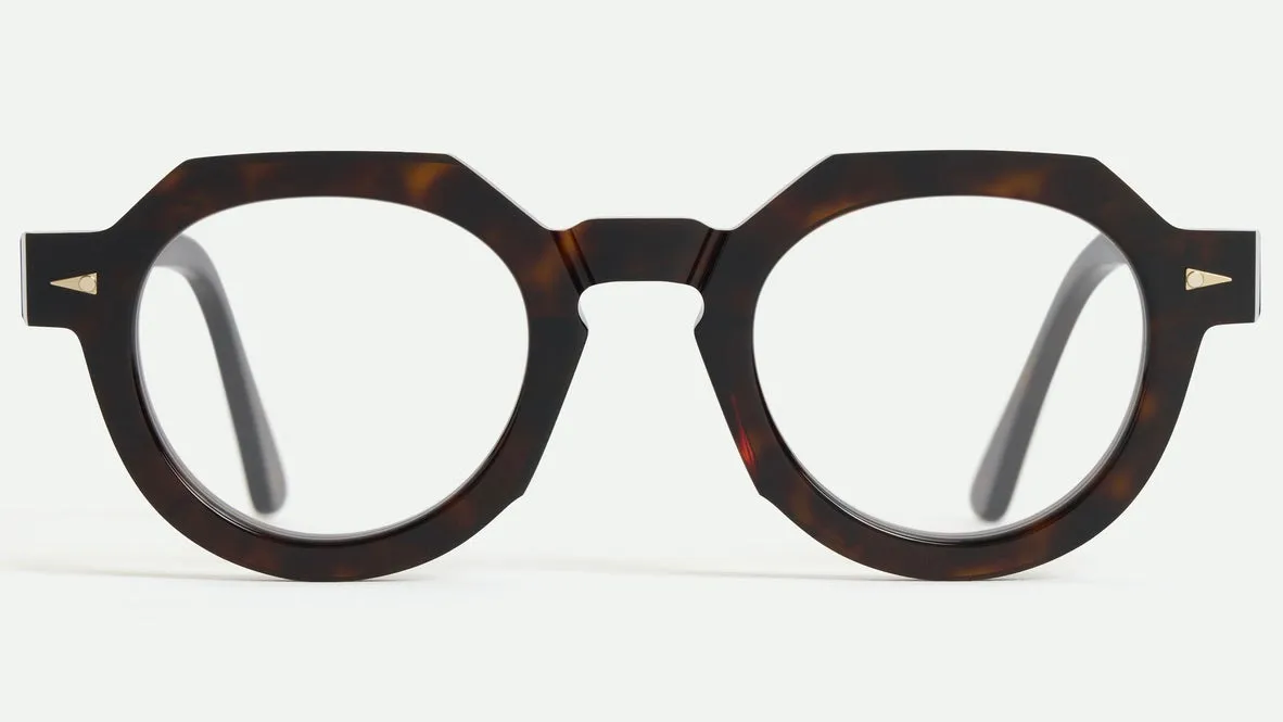 PETITS CHAMPS-RX Dark Turtle