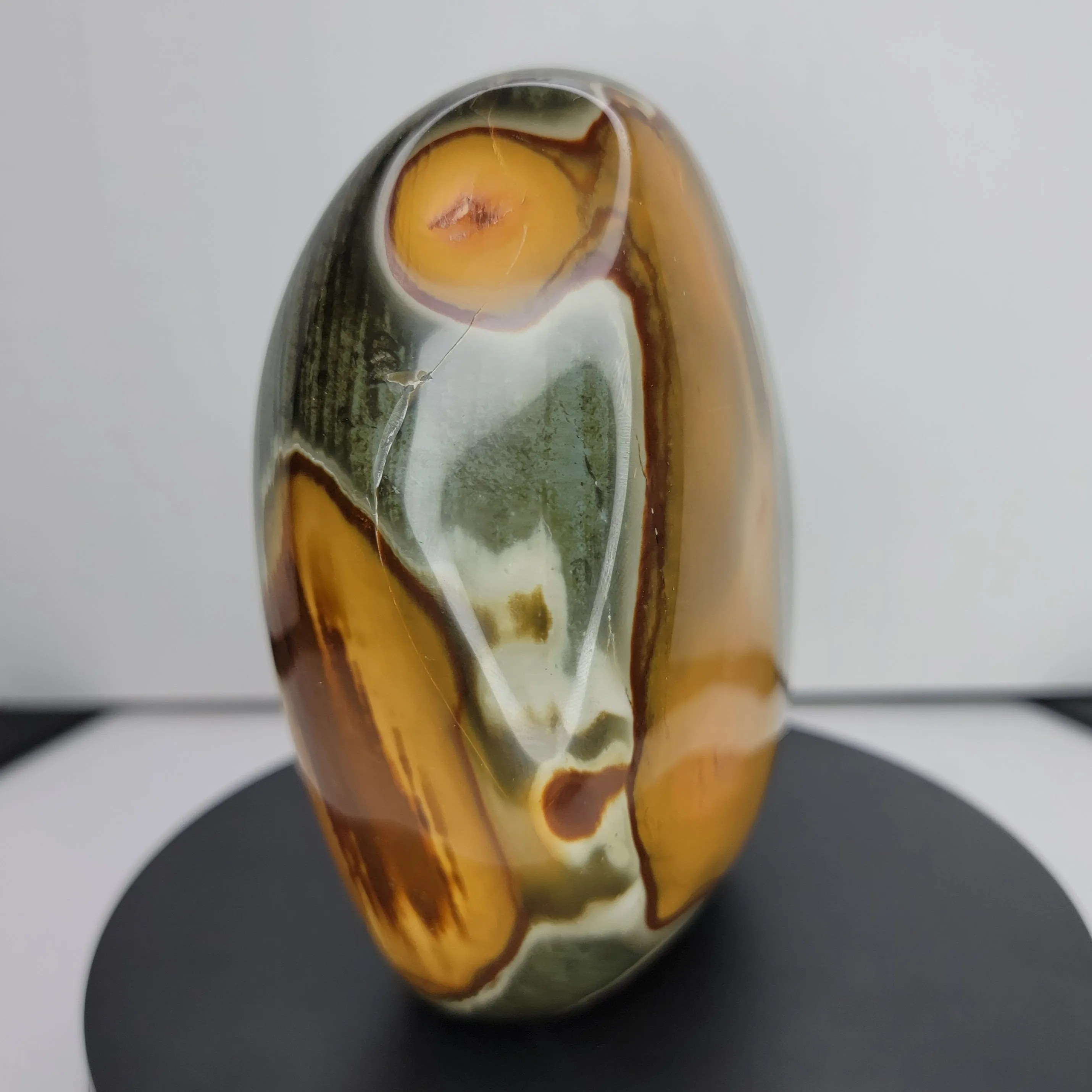 Polychrome Jasper. Polished Freeform