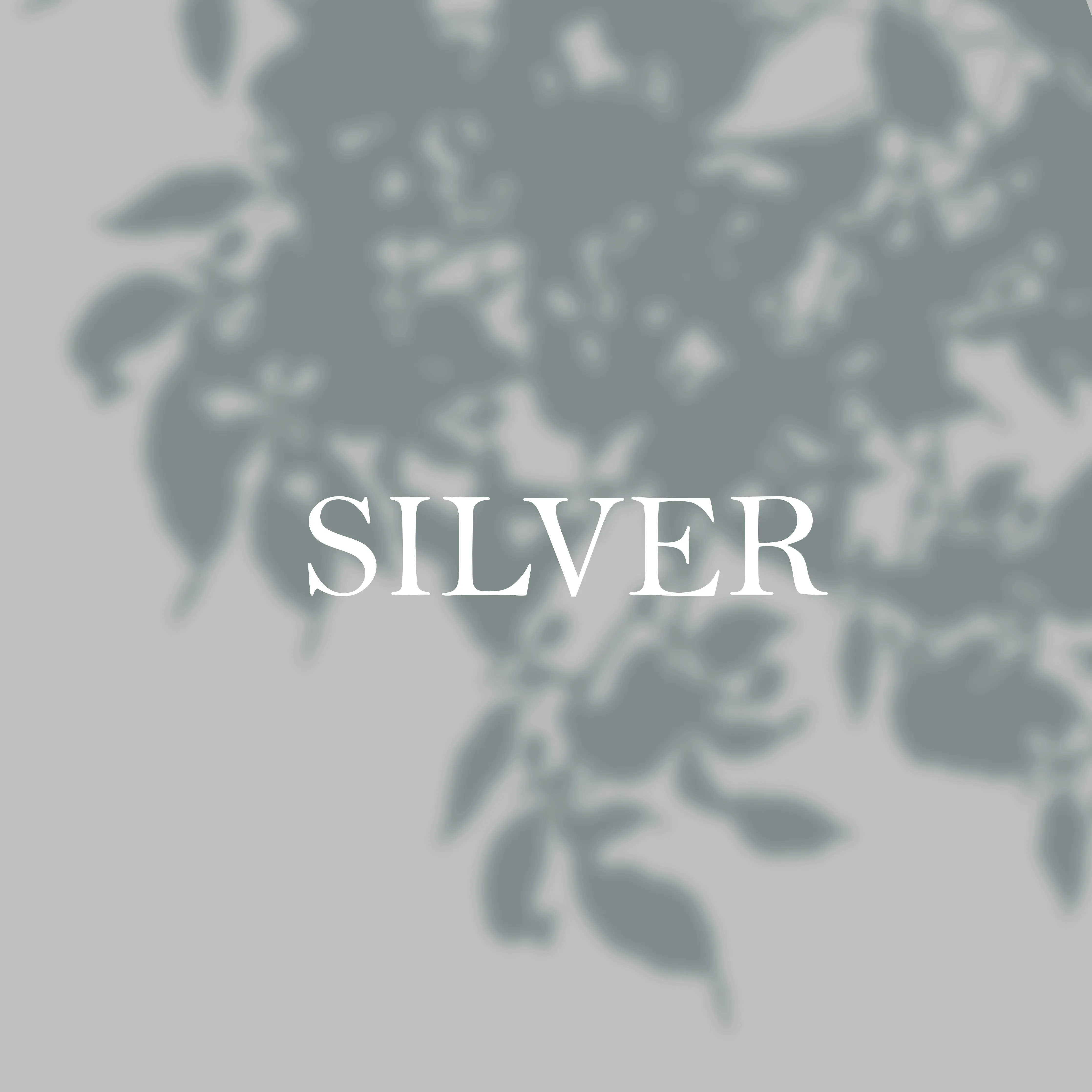 Premium Flyer Design Services