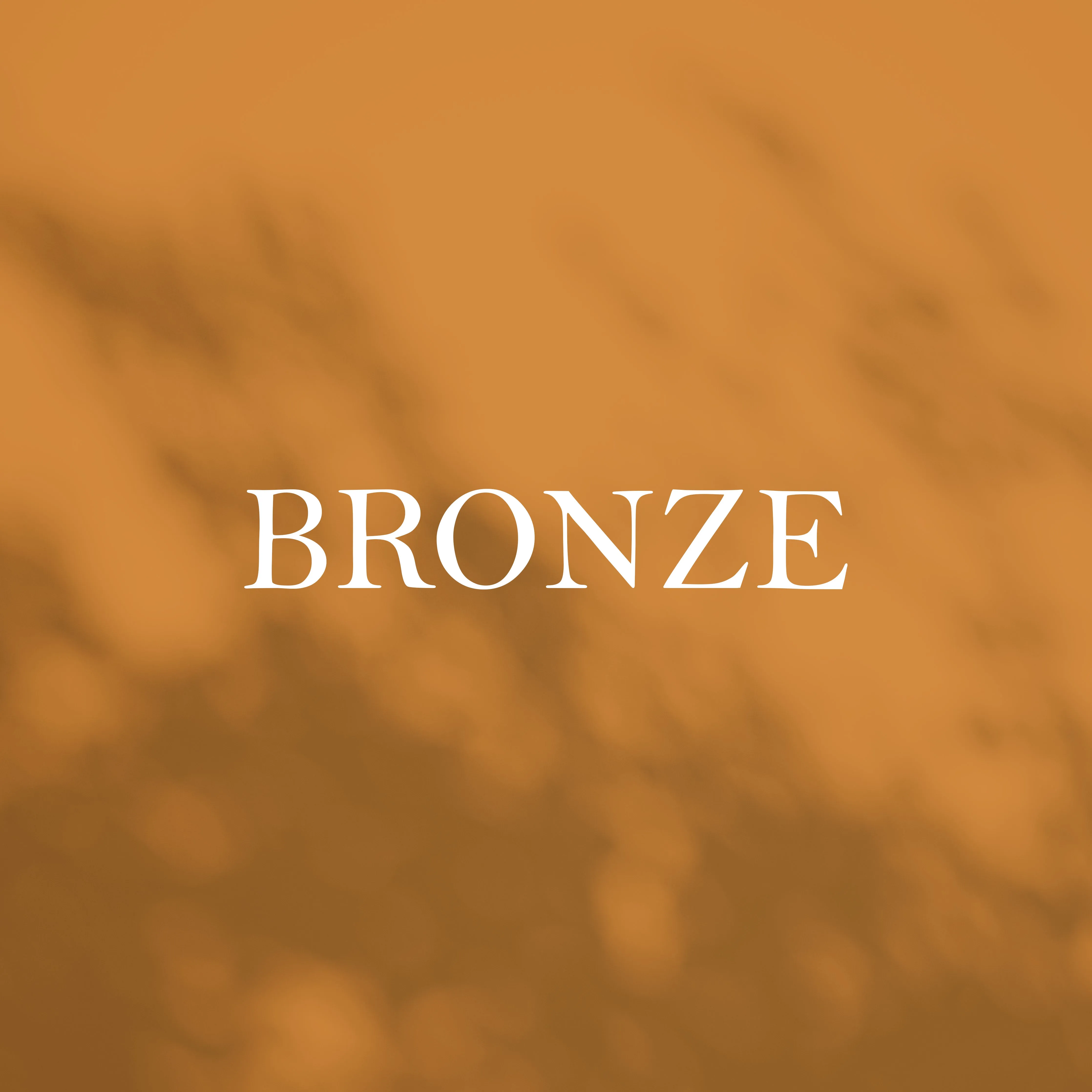 Premium Rack Card Design Services