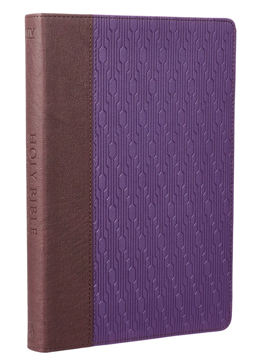 Purple and Brown Faux Leather KJV Bible