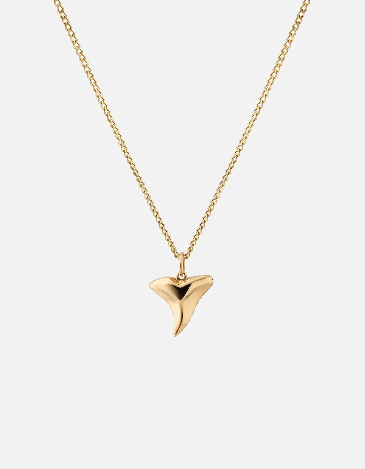 Shark Tooth Necklace, Gold Vermeil, Polished 24"