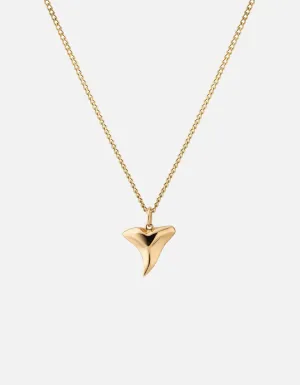 Shark Tooth Necklace, Gold Vermeil, Polished 24"