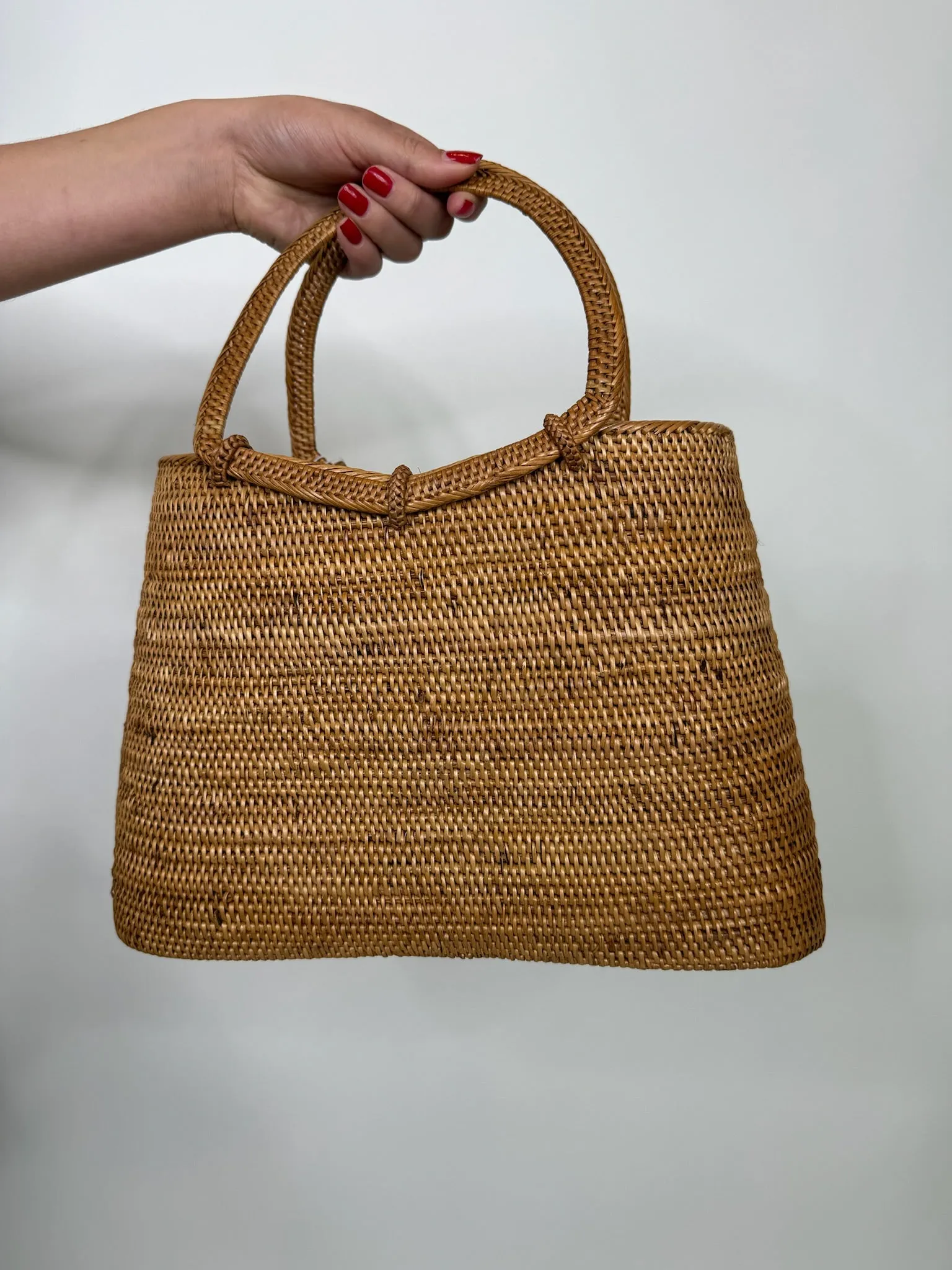 Sole Blake Handbag