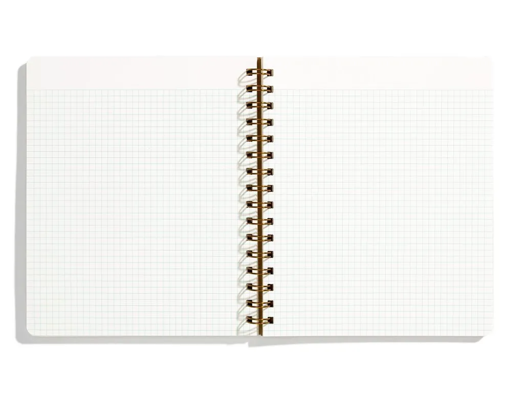 Standard Notebook - Pink Lemonade  Lined