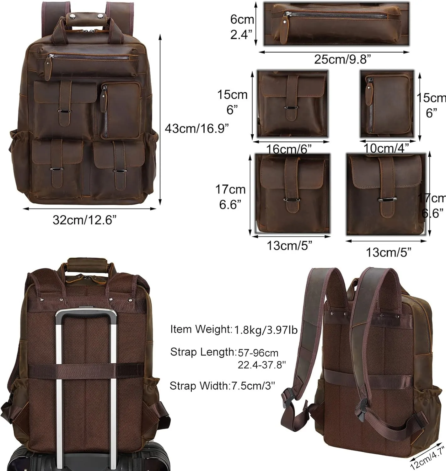 The Brown Mustang