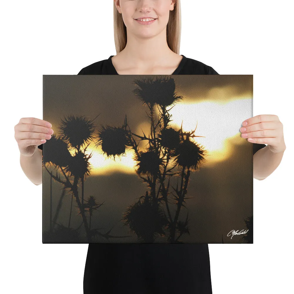 The Field of Strength Canvas