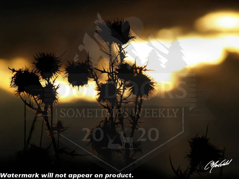 The Field of Strength Canvas